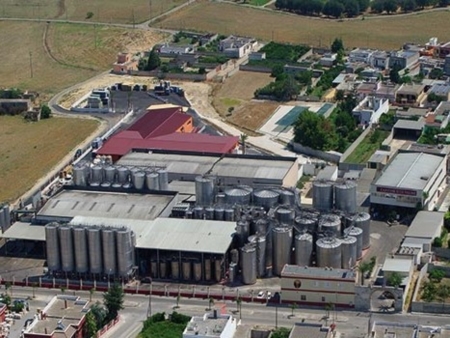Cantine due Palme, il Primitivo  per la Puglia il passepartout per molti mercati 