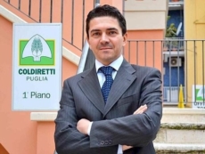 "Un grosso salto di qualità per l'indotto del territorio"