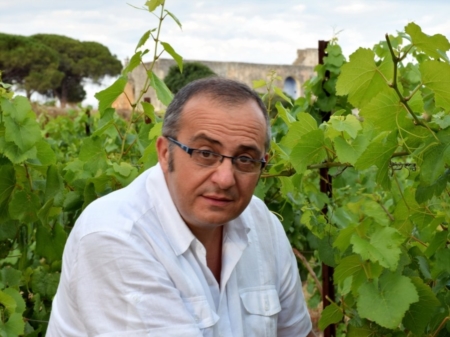 Uva, i prezzi in aumento; il primitivo  stato pagato da 60 a 85 euro al quintale
