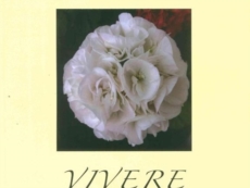 "Vivere" di Michele Liguori stasera a Salice Salentino