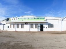 Corso di assaggiatori di olio di oliva 