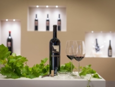 Il "Falco nero" miglior "Vino del sindaco"