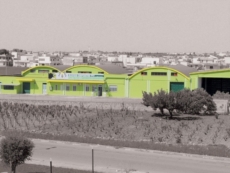 AIUTI ECONOMICI AGLI OLIVICOLTORI