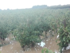 "Tanto lavoro cancellato dai nubifragi"