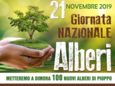 Cento nuove piante di pioppo nelle aree verdi e nelle scuole