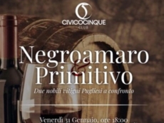 Negroamaro e Primitivo, due nobili vini pugliesi a confronto