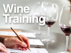 Didattica a distanza, ecco i workshop formativi del Consorzio di Tutela del Primitivo di Manduria