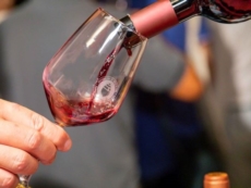 Estate pugliese “Tra le Torri del Primitivo di Manduria”