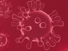 Sanificazione nell’asilo nido, ora si attendono i tamponi