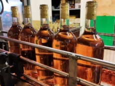 Salice Salentino, nella terra del “primo” rosato italiano la produzione Doc rimane di nicchia