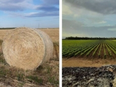 "Nel cuore dell’Arneo, visita ad un paesaggio che potrebbe non esistere più"