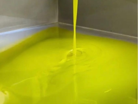 Olio, Leccino e Favolosa spingono al produzione