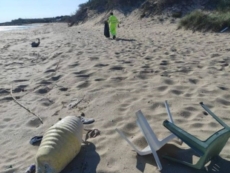 Pulizia delle spiagge a Porto Cesareo