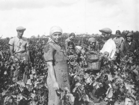 Tradizione e innovazione fino alla conquista di un�identit� simbolo