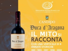 Le migliori annate del "Duca d’Aragona" di Candido per una serata a tu per tu con il vino d’autore