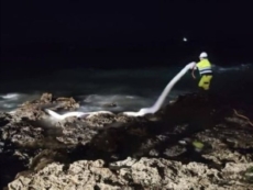 Porto Cesareo, barile di olio e petrolio contro la scogliera. Scongiurati danni ambientali